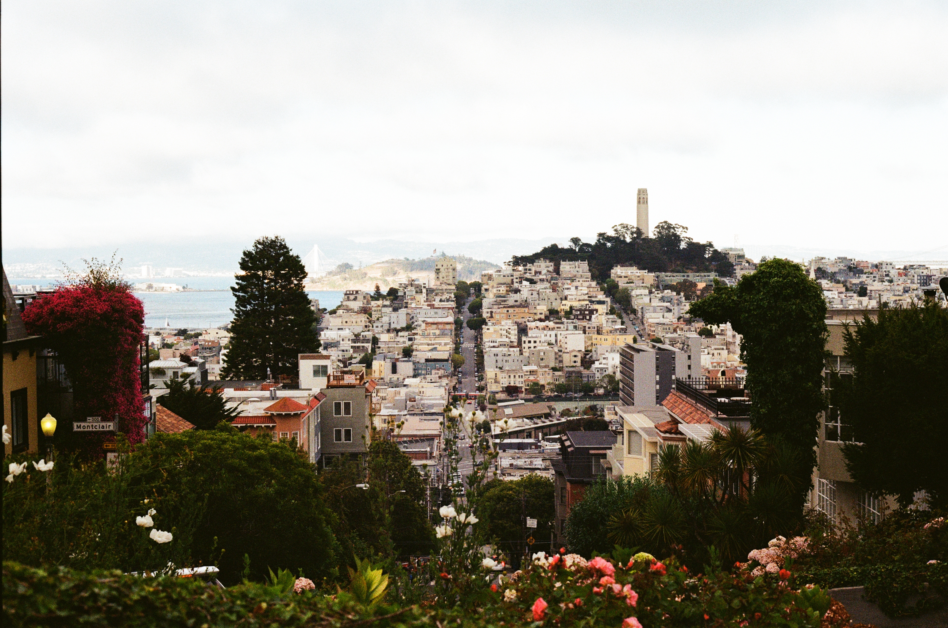  (San Francisco, California, 2023)